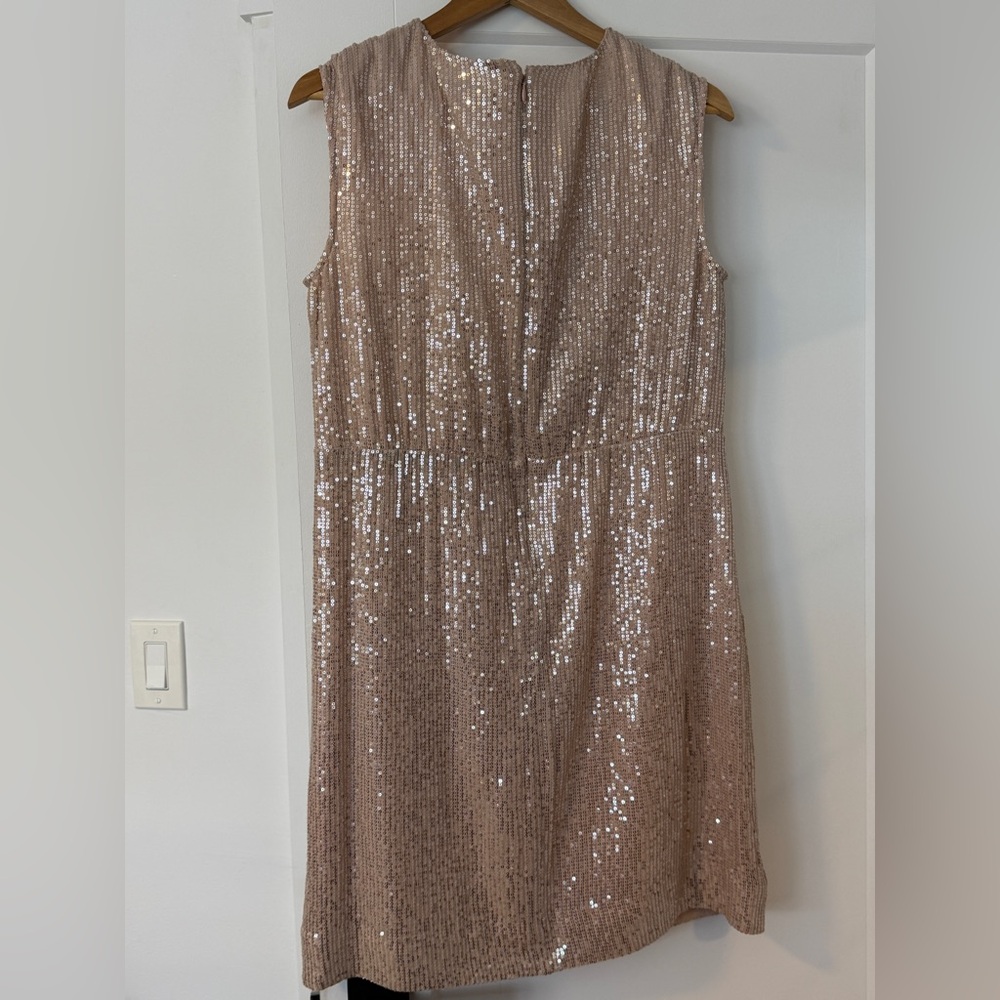 J. Crew Sequin Sheath Dress - champagne with silver sequins